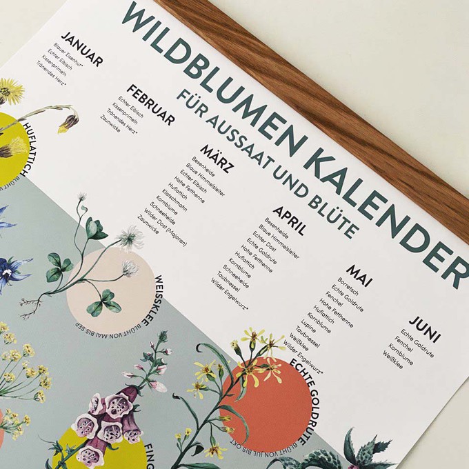 Saisonkalender für Blumen - Aussaat und Blüte regionaler Blumen - Zeitlos from 4peoplewhocare