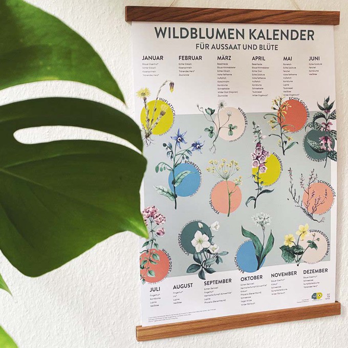 Saisonkalender für Blumen - Aussaat und Blüte regionaler Blumen - Zeitlos from 4peoplewhocare