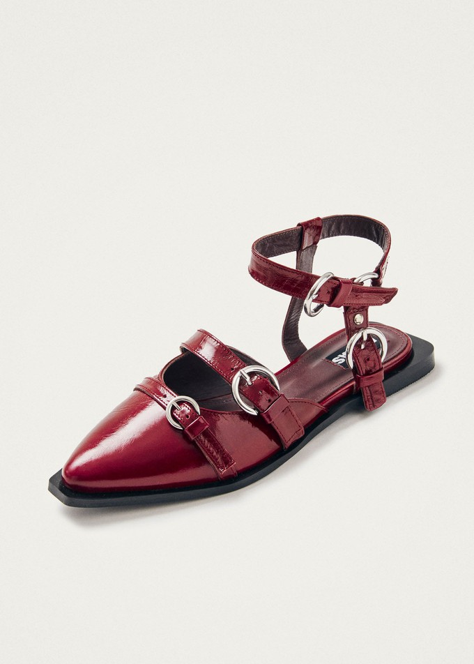 Thalara Onix Burgundy Leather Ballet Flats from Alohas