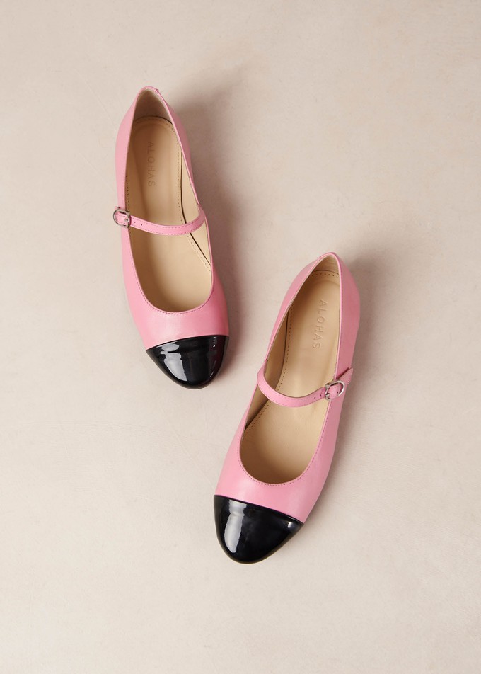 Musa Bicolor Black Pink Leather Ballet Flats from Alohas