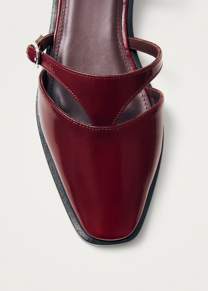 Aveline Burgundy Leather Ballet Flats from Alohas