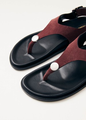 Harbor Suede Burgundy Leather Sandals from Alohas