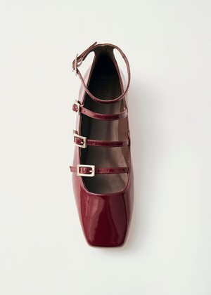 Luke Onix Wine Burgundy Leather Ballet Flats from Alohas