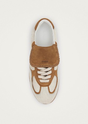 Tb.490 Club Soft Tan Leather Sneakers from Alohas