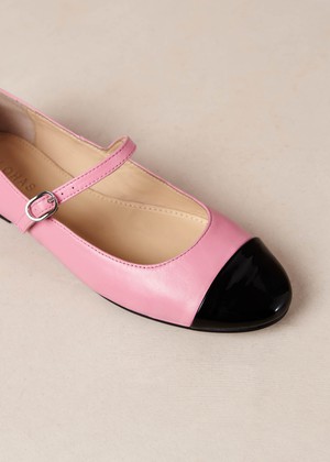 Musa Bicolor Black Pink Leather Ballet Flats from Alohas