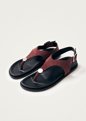 Harbor Suede Burgundy Leather Sandals from Alohas