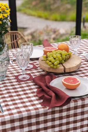 Linen napkins set of 2 in Terracotta from AmourLinen