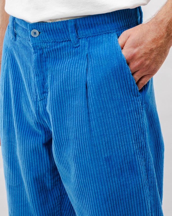 Corduroy Pleated Chino Pants Blue from Brava Fabrics