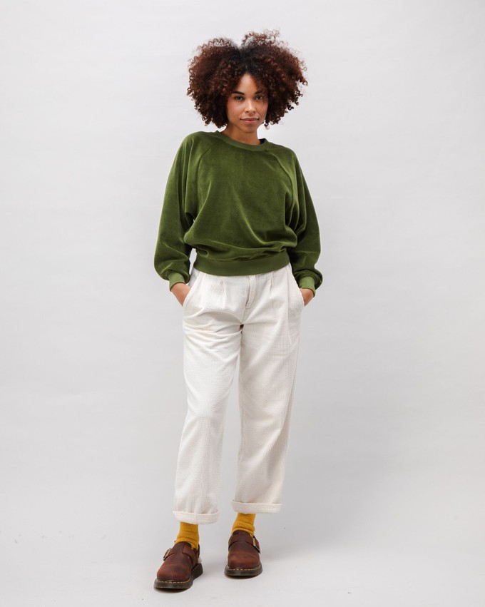 Velvet Raglan Cotton Sweatshirt Green from Brava Fabrics