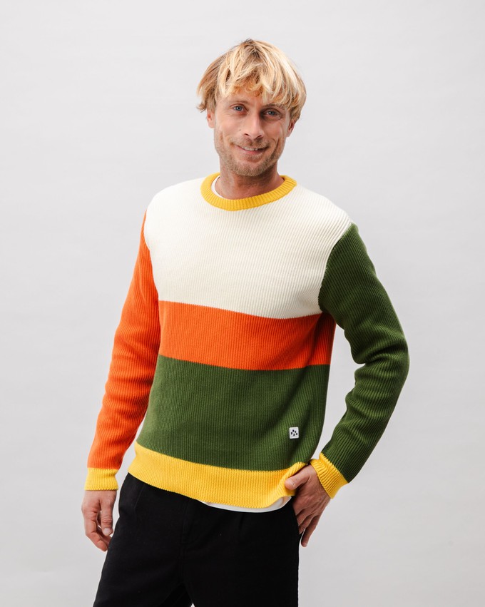 Stripes Cotton Sweater Multicolor from Brava Fabrics