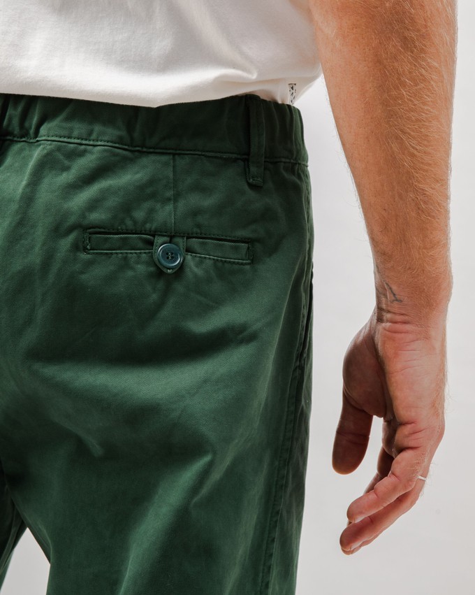 Comfort Chino Cotton Pants Green from Brava Fabrics