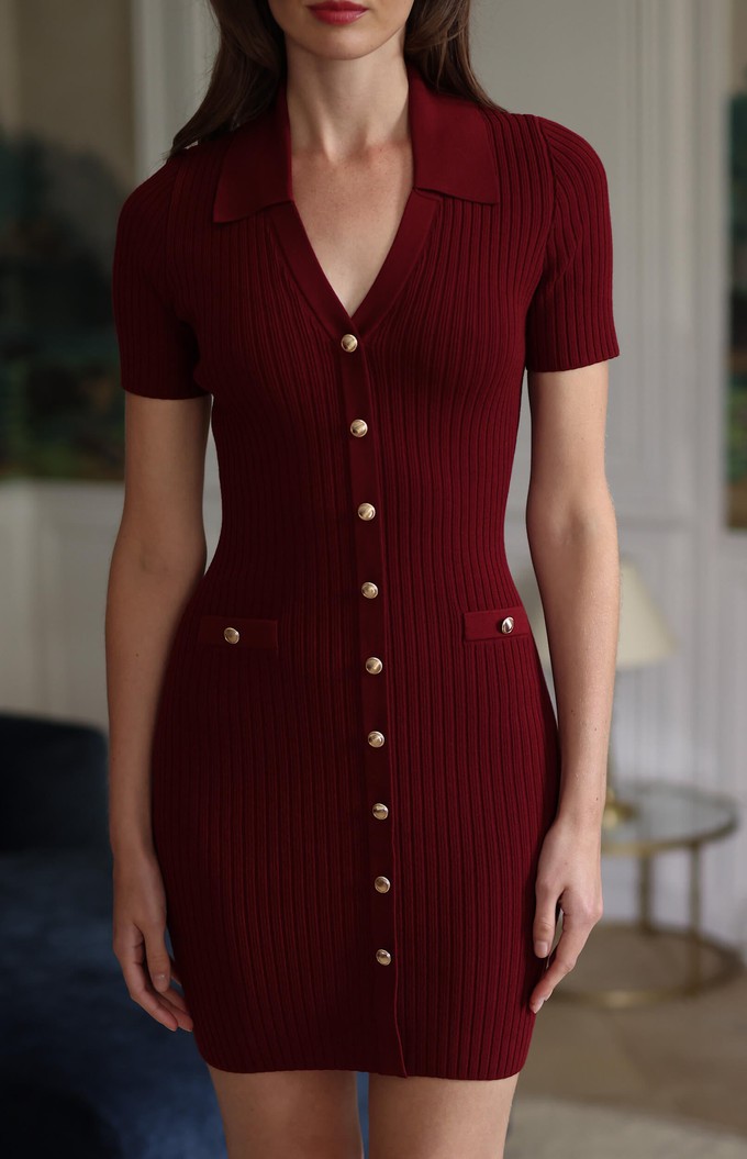 Liza Mini Knit Dress from GAÂLA