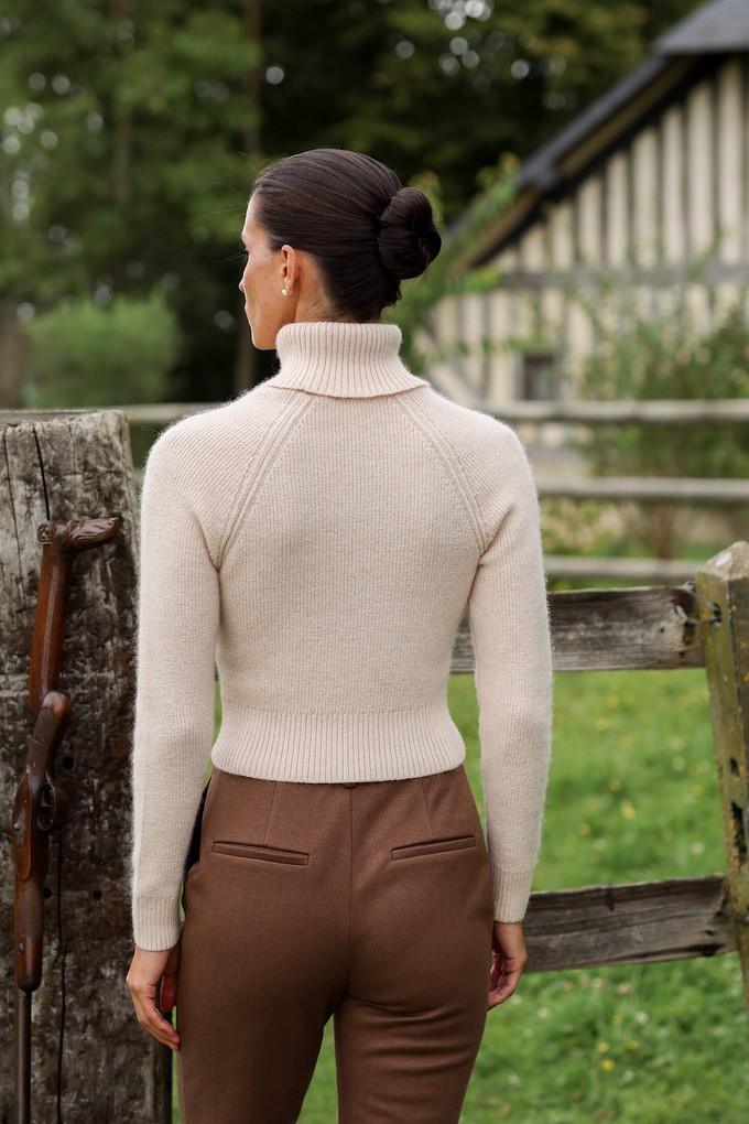 Naomi Mohair Roll-Neck Sweater from GAÂLA