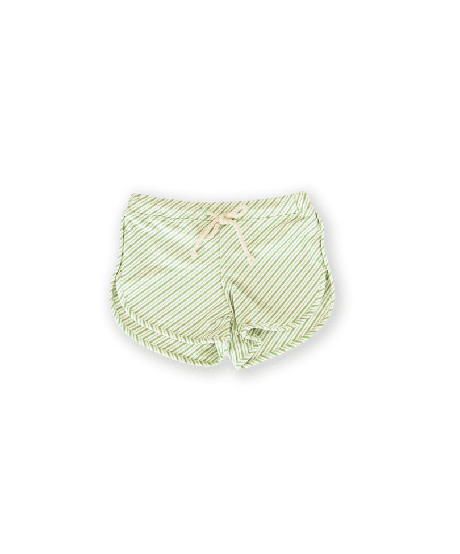 Mesa Trunks – Fern Stripe from Ina Swim