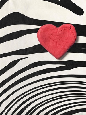 Zebra Love T-shirt Kids from SNURK