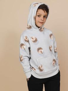 Hedgy Grey Oversized hoodie Kids via SNURK
