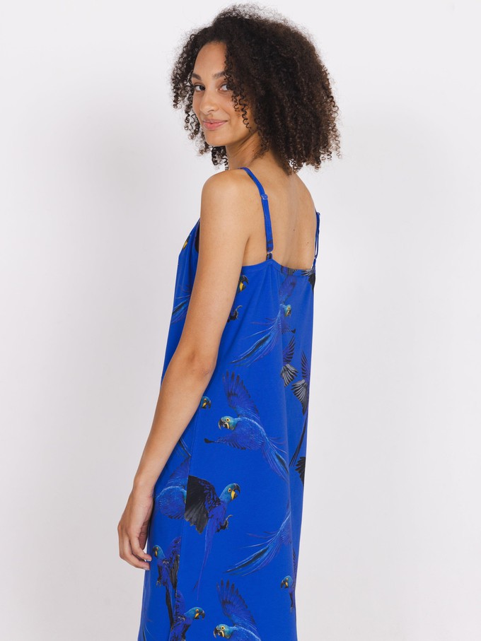 Blue Parrot Slip dress Women from SNURK