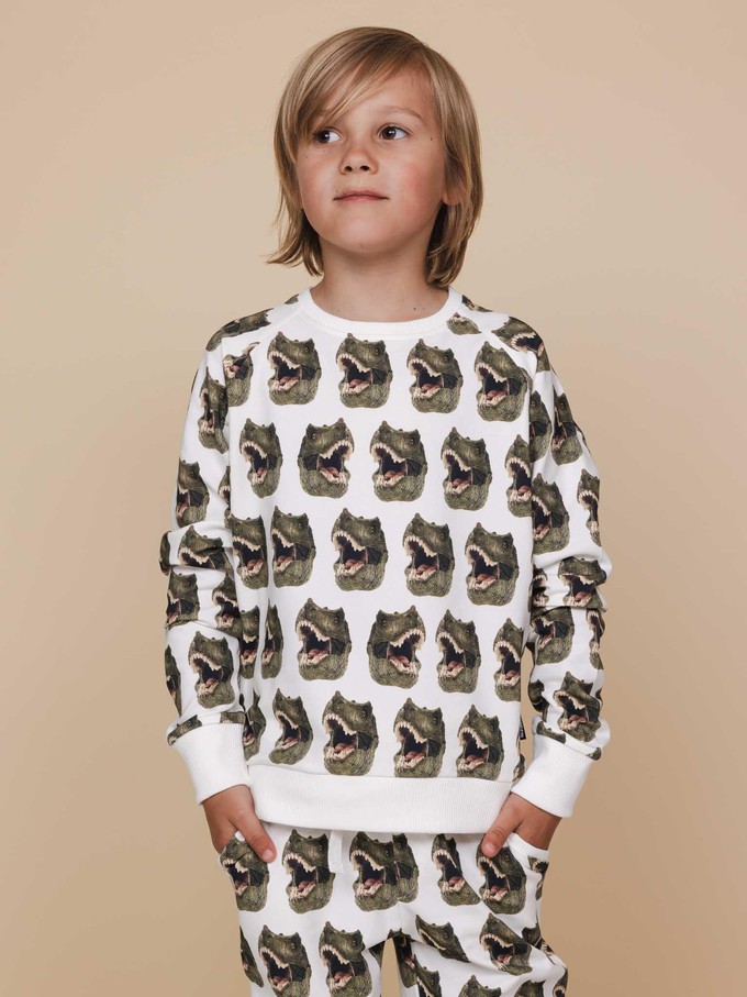 Dino Sweater Kids from SNURK