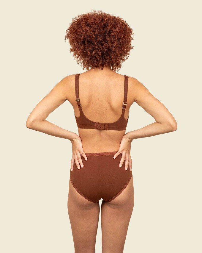 Organic Cotton Mid-Rise Brief in Cacao 3-Pack from Subset