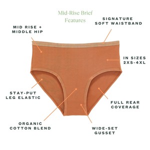 Organic Cotton Mid-Rise Brief in Spice 3-Pack from Subset