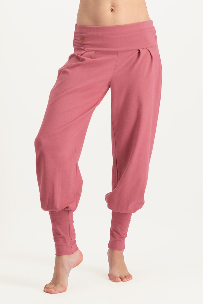 Dakini Yoga Pants – Hibiscus from Urban Goddess