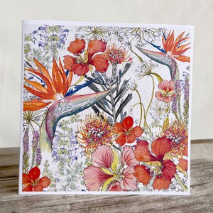 Fynbos Collection Greeting Cards from Urbankissed