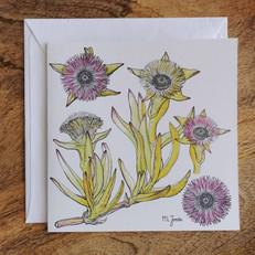 Single Fynbos Greeting Card via Urbankissed