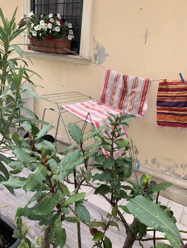 Clothes drying outside